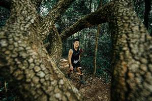 BIB: 
                            <button type="button" onclick="openModal(25703655)" class="btn btn-primary btn-sm float-right btn-popup" data-toggle="modal" data-target=".modal-high-quality">
                        <i class="fas fa-shopping-cart"></i> Add to Cart
                    </button>
                                            <button type="button" onclick="isThisMe(25703655, true)" class="btn btn-success btn-sm float-right btn-popup btn-isme hidden" data-toggle="tooltip" data-placement="bottom" title="นี่คือรูปของคุณใช่ไหม คลิกที่นี่เพื่อเอาเข้าอัลบั้ม">
                        <i class="fas fa-plus"></i> Add to album
                    </button>
                    <button type="button" onclick="isThisMe(25703655, false)" class="btn btn-warning btn-sm float-right btn-popup btn-isnotme hidden">
                        <i class="fas fa-ban"></i> Remove from album
                    </button>